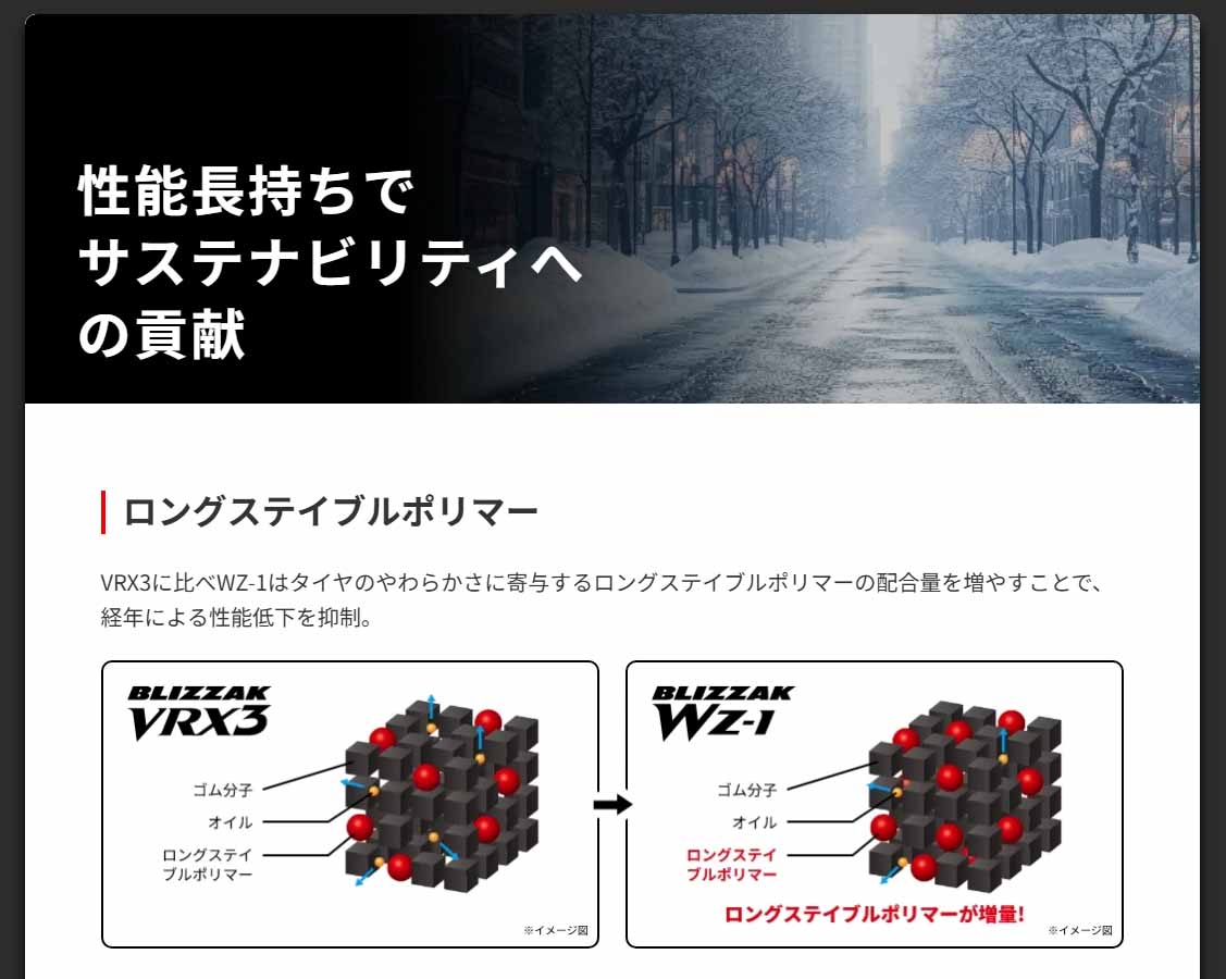 ブリヂストンタイヤ BLIZZAK WZ-1 205/55R17