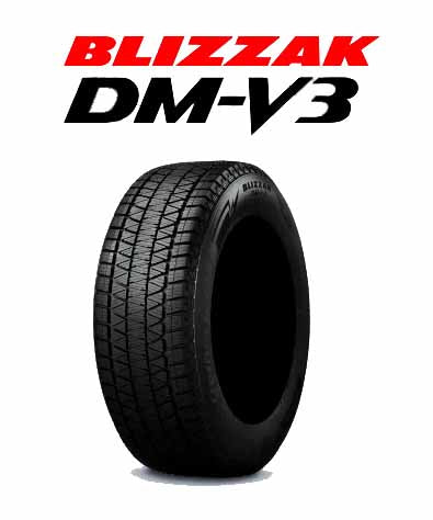 ブリジストン BLIZZAK DM-V3 175/80R15 2本セット