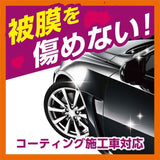 プロスタッフ モンスター メルトアイアン S219 洗うだけで驚異のスゴ落ち! 鉄粉取りシャンプー