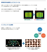 ヨコハマタイヤ　ブルーアース　ES32　185/70R14　