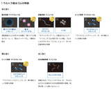 ヨコハマタイヤ　iceGUARD7　ig70　165/70R14　